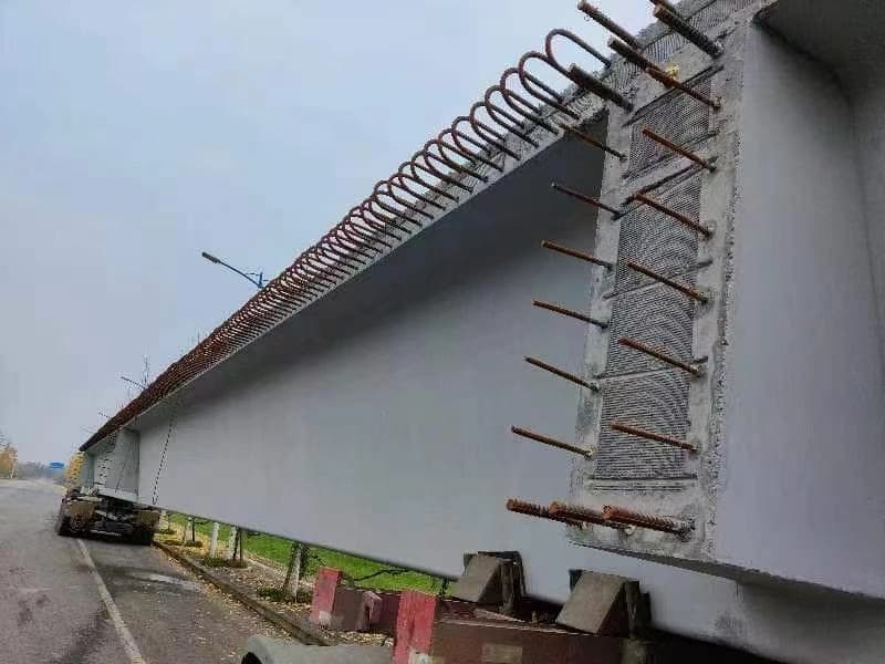 Galeri gambar acak 1