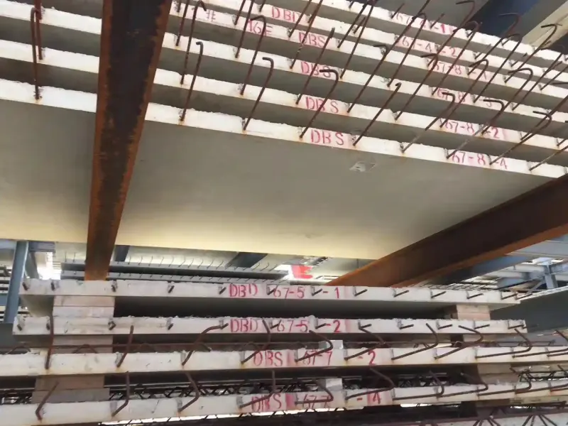 Galeri gambar acak 42